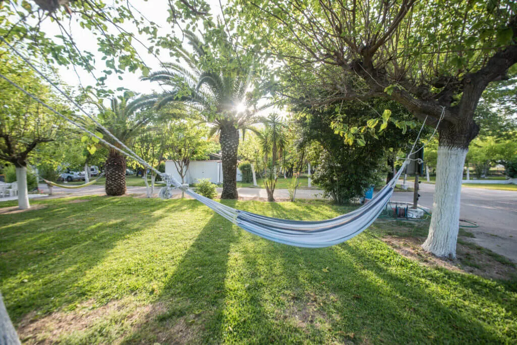 The lush, green, and shady grounds of Camping Vassiliki Beach, with tents set up under beautiful trees.