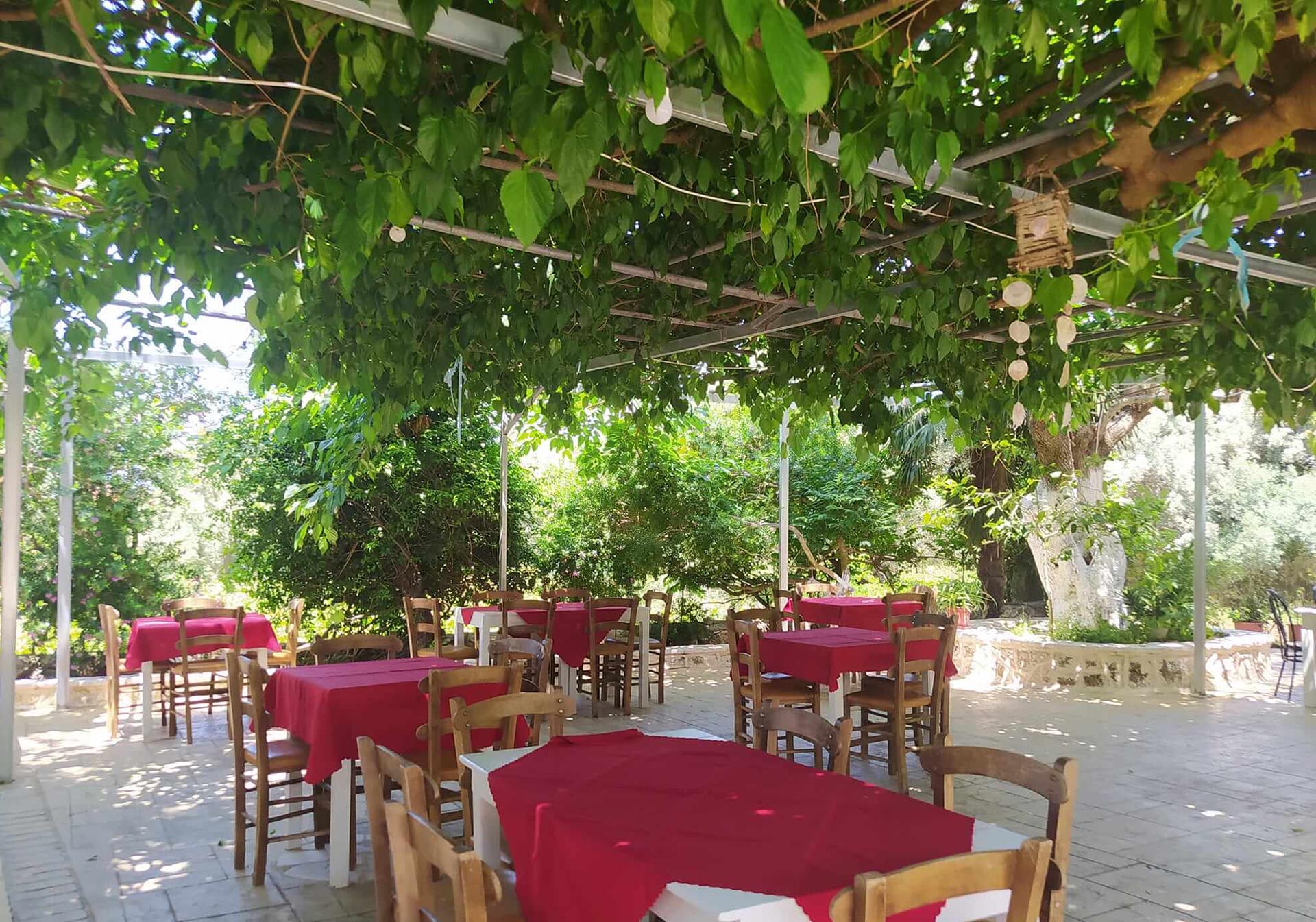  φιλόξενη ατμόσφαιρα της οικογενειακής ταβέρνας Κάμπος στους Τσουκαλάδες, με το ειδυλλιακό της περιβάλλον κάτω από τη σκιά μιας μεγάλης μουριάς.