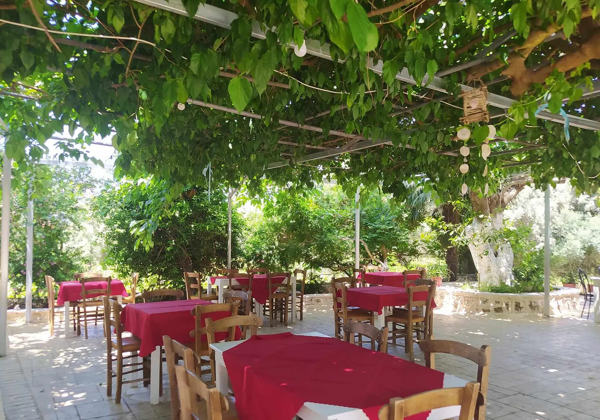  φιλόξενη ατμόσφαιρα της οικογενειακής ταβέρνας Κάμπος στους Τσουκαλάδες, με το ειδυλλιακό της περιβάλλον κάτω από τη σκιά μιας μεγάλης μουριάς.