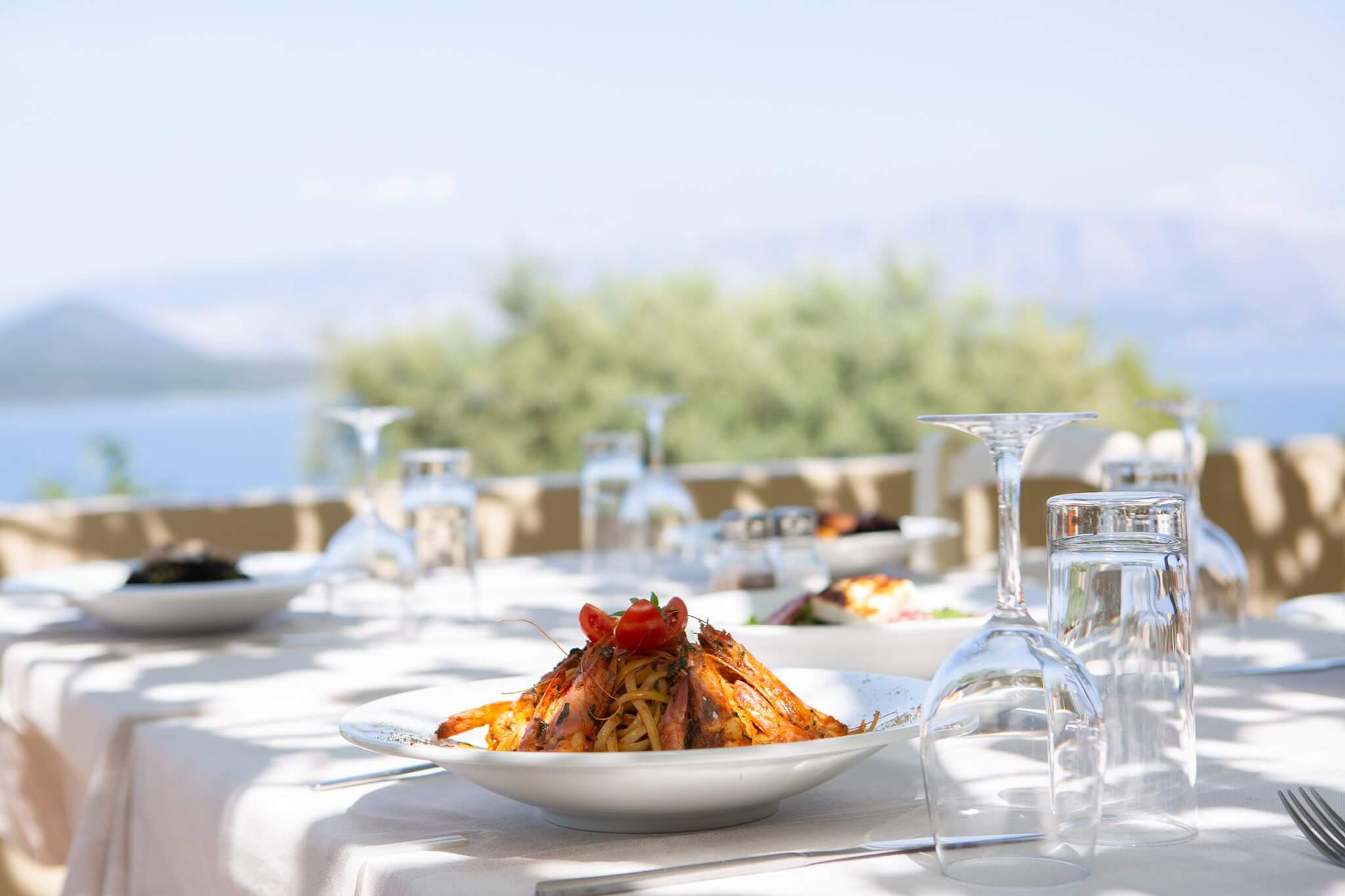 Η Ταβέρνα ο Μηνάς στη Νικιάνα Λευκάδας, με το γοητευτικό παραθαλάσσιο μπαλκόνι της με κληματαριές, που προσφέρει υπέροχη θέα στο Ιόνιο.